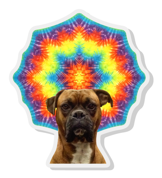 Yogi pin